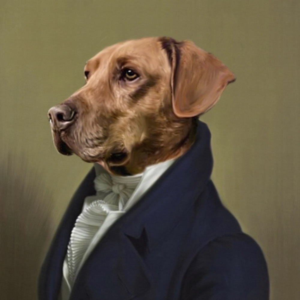 Meet your Posher, Evan